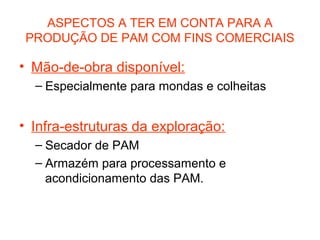 ASPECTOS A TER EM CONTA PARA A
PRODUÇÃO DE PAM COM FINS COMERCIAIS

• Mão-de-obra disponível:
– Especialmente para mondas e colheitas

• Infra-estruturas da exploração:
– Secador de PAM
– Armazém para processamento e
acondicionamento das PAM.

 