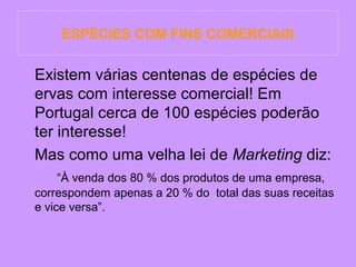 ESPÉCIES COM FINS COMERCIAIS

Existem várias centenas de espécies de
ervas com interesse comercial! Em
Portugal cerca de 100 espécies poderão
ter interesse!
Mas como uma velha lei de Marketing diz:
“À venda dos 80 % dos produtos de uma empresa,
correspondem apenas a 20 % do total das suas receitas
e vice versa”.

 