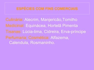 ESPÉCIES COM FINS COMERCIAIS

Culinária: Alecrim, Manjericão,Tomilho
Medicinal: Equinácea, Hortelã Pimenta
Tisanas: Lúcia-lima, Cidreira, Erva-príncipe
Perfumaria; Cosmética: Alfazema,
Calendula, Rosmaninho.

 