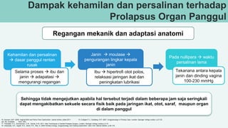 Dampak kehamilan dan persalinan terhadap
Prolapsus Organ Panggul
Regangan mekanik dan adaptasi anatomi
Kehamilan dan persalinan
 dasar panggul rentan
rusak
Selama proses  ibu dan
janin  adapatasi 
mengurangi regangan
Janin  moulase 
pengurangan lingkar kepala
janin
Ibu  hipertrofi otot polos,
relaksasi jaringan ikat dan
peningkatan lubrikasi
Pada nullipara  waktu
persalinan lama
Tekanana antara kepala
janin dan dinding vagina
100-230 mmHg
Sehingga tidak mengejutkan apabila hal tersebut terjadi dalam beberapa jam saja seringkali
dapat mengakibatkan sekuele secara fisik baik pada jaringan ikat, otot, saraf, maupun organ
di dalam panggul
16. Aronson, M.P. 2009. Vaginal Birth and Pelvic Floor Dysfunction. (serial online), [cited 2011 15, Culligan P.J., Goldberg, R.P. 2007. Urogynecology in Primary Care. London: Springer Verlag London. p.21-33.
Jan 16]. Available from: URL:http://neogs.org/Syllabus/Fall%20Program%202009/Aaronson%2009.11%20S%20Vaginal%20Birth%20and%20Pelvic%20Floor%20Dysfunction,%20NEOGS.pdf
17. Theobald, P.V., Zimmerman, C.W., Davila, G.W. 2011. New Techniques in Genital Prolapse Surgery. London: Springer Verlag London.p.3-10.
18. Vasavada, S.P., Appell, R.A., Sand, P.K., Raz, S. 2005 Female Urology, Urogynecology and Voiding Dysfunction. New York: Marcel Dekker. p.95-118.
 