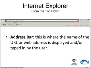 Internet Explorer
From the Top Down
• Address Bar: this is where the name of the
URL or web address is displayed and/or
typed in by the user.
 