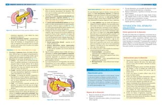 102 GRANT. MANUAL DE DISECCIÓN
Glándulas
suprarrenales Bazo
Páncreas
Riñón
Uréter
Duodeno
Riñón
Cabeza
Cuello
Cuerpo
Cola
1
2
3
4
Figura 4-37. Relaciones entre el bazo, páncreas, duodeno y riñones.
sentéricos superiores y por detrás los vasos
mesentéricos inferiores.
• Porción ascendente (cuarta) – asciende hasta
el nivel de la vértebra L2. La porción ascen-
dente del duodeno es retroperitoneal en casi
toda su longitud. Esta porción gira en sentido
anterior para unirse con el yeyuno en la unión
duodenoyeyunal.
PÁNCREAS [G 133, 156; L 239; N 298; R 317; C 224]
1. Identifique el páncreas dentro del doblez del duo-
deno. Advierta que es un órgano retroperitoneal se-
cundario que yace a través de la línea media y que se
coloca contra los cuerpos vertebrales de L1 a L3.
2. Identifique las porciones del páncreas (fig. 4-37):
• Cabeza – yace dentro de la curvatura del duo-
deno. La apófisis unciforme es una proyección
pequeña desde el borde inferior de la cabeza
que pasa por detrás de los vasos mesentéricos
superiores. La vena cava inferior yace por de-
trás de la cabeza del páncreas.
• Cuello – porción corta que yace por delante de
los vasos mesentéricos superiores y conecta la
cabeza del páncreas con el cuerpo.
• Cuerpo – se extiende de derecha a izquierda y
ligeramente en sentido superior conforme atra-
viesa la porción posterior de la pared abdomi-
nal. La aorta abdominal yace por detrás del
cuerpo del páncreas.
• Cola – es el extremo izquierdo estrecho de la
glándula. La punta de la cola yace en el liga-
mento esplenorrenal y tiene contacto con el hilio
del bazo.
3. Con una sonda acanalada realice la disección de la
superficie anterior de la cabeza del páncreas y en-
cuentre el conducto pancreático principal. Siga
su trayecto a través del cuello hasta el cuerpo. El
conducto pancreático accesorio se le une en su
porción superior.
4. Siga el trayecto del conducto pancreático principal
hacia la porción descendente del duodeno. Ob-
serve que el conducto pancreático principal se une
con el conducto biliar.
5. Identifique las arterias pancreatoduodenales su-
perior posterior y superior anterior (fig. 4-38).
Ambas son ramas de la arteria gastroduodenal. [G
135; L 239; N 301; R 316; C 223]
6. La arteria pancreatoduodenal inferior por lo ge-
neral es la rama más proximal de la arteria mesenté-
rica superior, si bien su origen es variable (fig. 4-38).
La arteria pancreatoduodenal inferior penetra en la
porción inferior de la cabeza del páncreas.
7. Coloque de nuevo el tronco celíaco en su posición
original y siga el trayecto de la arteria esplénica en
su trayecto hacia el lado izquierdo a lo largo del
borde superior del páncreas (fig. 4-38). El cuerpo
y la cola del páncreas están irrigados hasta por 10
ramas pequeñas de la arteria esplénica. Identifique
únicamente dos:
• Arteria pancreática dorsal – penetra en el
cuello del páncreas
• Arteria pancreática mayor (pancreática
magna) – penetra en el páncreas en la unión de
los dos tercios mediales con el tercio lateral de
la glándula
8. Siga la arteria esplénica hasta el hilio del bazo e
identifique la arteria gastroepiploica izquierda.
Concluya la disección de la arteria gastroepiploica
izquierda siguiendo su trayecto a través del
omento mayor hasta su anastomosis con la arteria
gastroepiploica derecha.
9. Las venas del páncreas corresponden a las arterias.
Desembocan en la vena esplénica y mesentérica
superior y terminan por ser tributarias de la vena
porta hepática.
Arteria hepática propia
Arteria
gastroepiploica
izquierda
Arteria mesentérica superior
Arteria
pancreática
dorsal
Anterior inferior
Arterias
pancreato-
duodenales:
Arteria
pancreato-
duodenal
superior
anterior
Arteria gastroduodenal
Arteria hepática común
Tronco celíaco
Arteria esplénica
Arteria pancreatoduodenal inferior
Posterior inferior
Arteria
pancreatoduodenal
posterior Arteria
pancreática
mayor
Píloro
Figura 4-38. Irrigación del duodeno y páncreas.
1034/ ABDOMEN
3. En una ilustración y en el modelo de disección recons-
truya la irrigación del páncreas y el duodeno.
4. Repase la formación y superficie de drenaje de la vena
porta hepática.
5. Siga el trayecto de una gota de sangre desde el intes-
tino delgado hasta la vena cava inferior, nombrando
todas venas que se encuentran a su paso.
6. En un libro de embriología repase la embriogénesis del
hígado, páncreas y duodeno.
SEPARACIÓN DEL APARATO
DIGESTIVO
Visión general de la disección
El orden de la disección es el siguiente: se seccionan las ar-
terias del aparato digestivo (tronco celíaco, arteria mesenté-
rica superior y arteria mesentérica inferior) cerca de la
aorta. Se seccionan el esófago y el recto, ligándolos para
evitar derramar su contenido. A continuación se extirpa el
aparato digestivo y se revisa fuera del cuerpo. El aparato di-
gestivo se lleva a un lavabo abriendo y enjuagando ciertas
áreas para estudiar sus características internas.
VENA PORTA HEPÁTICA [G 160; L 240; N 311; R 300; C 207]
En una ilustración repase el sistema venoso porta he-
pático. La vena mesentérica superior y la vena es-
plénica se unen para formar la vena porta hepática de-
trás del cuello del páncreas. La vena porta hepática
transporta sangre venosa desde el hígado hasta la por-
ción abdominal del aparato digestivo, bazo y páncreas.
1. La vena esplénica viaja por detrás del páncreas y
debajo de la arteria esplénica. Con una sonda acana-
lada realice la disección de la porción posterior del
cuerpo del páncreas y encuentre la vena esplénica.
2. Siga el trayecto de la vena esplénica hacia el lado de-
recho, donde se une con la vena mesentérica supe-
rior. Éste es el origen de la vena porta hepática.
Recuerde que la vena porta hepática asciende en el
ligamento hepatoduodenal hasta el porta hepático.
3. Regrese a la superficie de distribución de la vena
mesentérica inferior. Encuéntrela y siga su tra-
yecto en sentido superior. La vena mesentérica in-
ferior por lo general se une con la vena esplénica,
pero en ocasiones se une con la vena mesentérica
superior o la unión de la vena mesentérica supe-
rior y las venas esplénicas.
4. En un libro de texto o atlas examine las anastomo-
sis portosistémicas (porto-cava):
• Gastroesofágica – vena gástrica
izquierda/venas esofágicas/vena ácigos
• Anorrectal – vena rectal superior/venas recta-
les medias e inferiores
• Paraumbilical – venas paraumbilicales/venas
epigástricas superficiales
• Retroperitoneal – venas cólicas/venas retrope-
ritoneales
Hipertensión porta
El sistema venoso porta hepático no tiene válvulas. Cuando
la vena porta hepática se bloquea, la presión arterial se
eleva en el sistema porta hepático (hipertensión porta) y
sus tributarias se ingurgitan. La hipertensión porta provoca
hemorroides y várices gástricas y esofágicas. Una complica-
ción peligrosa de la hipertensión porta es la hemorragia de
las várices gastroesofágicas rotas.
C O R R E L A C I Ó N C L Í N I C A
Repaso de la disección
1. Repase la relación de cada porción del duodeno con las
estructuras circundantes.
2. Repase las ramas del tronco celíaco y la arteria mesen-
térica superior.
Instrucciones para la disección
1. Amarre dos hebras a 4 cm de distancia alrededor
del extremo superior del recto. Use tijeras para
cortar el recto entre las hebras. Seccione la arteria
rectal superior.
2. Debajo del diafragma, amarre una hebra alrededor
del esófago y corte el esófago por arriba de la
hebra. Seccione los troncos del nervio vago al
mismo nivel.
3. Corte con tijeras el tronco celíaco cerca de la
aorta, sin dejar muñón.
4. Corte con tijeras la arteria mesentérica superior
cerca de la aorta, dejando un muñón de 1 cm.
5. Corte con tijeras la arteria mesentérica inferior
cerca de la aorta, dejando un muñón de 1cm.
6. Separe el estómago de las adherencias peritoneales
restantes en la pared abdominal posterior.
7. Tome el bazo y tire suavemente en sentido medial.
Introduzca los dedos por detrás del bazo y separe
con cuidado los vasos esplénicos, la cola y el
cuerpo del páncreas de la pared abdominal.
8. Corte con tijeras el ligamento suspensorio del
duodeno cerca de la unión duodenoyeyunal.
9. Introduzca los dedos detrás del duodeno y libérelo
de la pared abdominal posterior.
 