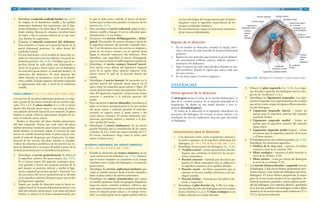 110 GRANT. MANUAL DE DISECCIÓN
5. Identifique el músculo cuadrado lumbar (fig. 4-47).
Se origina en la duodécima costilla y las apófisis
transversas lumbares. Sus inserciones son el liga-
mento iliolumbar y la cresta ilíaca. El músculo cua-
drado lumbar flexiona la columna vertebral hacia
los lados y fija el extremo inferior de la caja torá-
cica durante la respiración.
6. Examine el músculo transverso del abdomen.
Este músculo se forma en la porción lateral de la
pared abdominal posterior. Se ubica detrás del
cuadrado lumbar.
7. En una ilustración y en el modelo de disección, es-
tudie las relaciones entre los riñones y la pared ab-
dominal posterior (fig. 4-46). Verifique que la su-
perficie dorsal de cada riñón esté relacionada, a
través de la grasa y fascia renal, con el diafragma,
los músculos psoas mayor, el cuadrado lumbar y el
transverso del abdomen. El polo superior del
riñón derecho se encuentra a nivel de la duodé-
cima costilla. El polo superior del riñón izquierdo
es ligeramente más alto, a nivel de la undécima
costilla.
PLEXO LUMBAR [G 172, 173; L 250; N 267; R 333; C 253]
Los nervios de la pared abdominal posterior se origi-
nan a partir de las ramas ventrales de los nervios espi-
nales T12 a L4. El plexo lumbar (L1 a L4) se forma
dentro del músculo psoas mayor y sus ramas se obser-
van saliendo del borde lateral de este músculo. El plexo
lumbar se puede observar únicamente después de ex-
traer el músculo psoas mayor.
Realice la disección del plexo lumbar únicamente
del lado izquierdo. Puesto que cada rama del plexo
lumbar atraviesa el músculo psoas mayor a una profun-
didad distinta, es necesario seguir el trayecto de cada
nervio en sentido proximal hasta el psoas mayor, reti-
rando el músculo fragmento por fragmento. La rami-
ficación de los nervios del plexo lumbar es variable.
Utilice las relaciones periféricas de los nervios (su re-
gión de distribución o un punto de salida a partir de la
cavidad peritoneal) para su identificación positiva.
1. Identifique el nervio genitofemoral. Se ubica en
la superficie anterior del psoas mayor (fig. 4-47).
Es el nervio motor del músculo cremáster (por-
ción genital) e inerva una pequeña porción de la
piel situada en posición inferior y medial al liga-
mento inguinal (porciones genital y femoral). Las
dos porciones del nervio genitofemoral se dividen
en la superficie anterior del psoas mayor por arriba
del ligamento inguinal.
2. Separe por medio de disección roma la fascia ex-
traperitoneal de la pared abdominal posterior a un
lado del músculo psoas mayor. Las ramas del plexo
lumbar se ubican en la fascia extraperitoneal, por
lo que se debe tener cuidado al mover el instru-
mento para la disección paralelo al trayecto de los
nervios (fig. 4-47).
3. Para encontrar el nervio subcostal, palpe la duo-
décima costilla y busque el nervio subcostal apro-
ximadamente a 1 cm debajo.
4. Encuentre los nervios iliohipogástrico e ilioin-
guinal. Descienden de manera abrupta a través de
la superficie anterior del músculo cuadrado lum-
bar. Con frecuencia estos dos nervios se originan a
partir de un tronco común y no se separan hasta
llegar al músculo transverso del abdomen. Para
identificar con seguridad el nervio ilioinguinal,
siga su trayecto hasta el anillo inguinal superficial.
5. Identifique el nervio cutáneo femoral lateral.
Este nervio cruza debajo del ligamento inguinal
cerca de la espina ilíaca anterior superior. Este
nervio inerva la piel de la porción lateral del
muslo.
6. Identifique el nervio femoral. Se encuentra en la
porción lateral del músculo psoas mayor en el
surco entre los músculos psoas mayor e ilíaco. El
nervio femoral inerva estos dos músculos. Pasa de-
bajo del ligamento inguinal y proporciona ramas
motoras y sensitivas a la porción anterior del
muslo.
7. Para encontrar el nervio obturador, introduzca el
dedo en la fascia extraperitoneal en la cara medial
del psoas mayor y muévalo paralelo al músculo,
creando un espacio entre el psoas mayor y los
vasos ilíacos comunes. El nervio obturador pro-
porciona inervación motora y sensitiva a la por-
ción medial del muslo.
8. Identifique el tronco lumbosacro. Es un nervio
grande formado por la contribución de los ramos
ventrales de L4 y todos los ramos ventrales de L5.
El tronco lumbosacro llega hasta la pelvis para
unirse al plexo sacro.
SEGMENTO ABDOMINAL DEL TRONCO SIMPÁTICO
[G 176; L 251-253; N 318; R 334; C 255]
1. Estudie la ubicación del tronco simpático en un
corte transversal del abdomen (fig. 4-43). Observe
que el tronco simpático se encuentra en el cuerpo
vertebral entre el pilar del diafragma y el músculo
psoas mayor.
2. Identifique los nervios esplácnicos lumbares que
viajan en sentido anterior desde el tronco simpático
hasta el plexo aórtico de nervios autónomos.
3. Identifique los ramos comunicantes que viajan
en sentido posterior desde los ganglios simpáticos
hasta los ramos ventrales lumbares. Observe que
cada ramo comunicante viaja en posición profunda
entre el músculo psoas mayor y el cuerpo verte-
bral. Los ramos grises de la región lumbar inferior
1114/ ABDOMEN
Repaso de la disección
1. En un modelo de disección, examine el origen, inser-
ción y función de cada músculo de la pared abdominal
posterior.
2. Repase los tres músculos que forman la pared abdomi-
nal anterolateral (oblicuo externo, oblicuo interno y
transverso del abdomen).
3. Siga el trayecto de cada rama del plexo lumbar en sen-
tido periférico. Repase la región que inerva cada uno
de estos nervios.
4. En un atlas repase el tronco simpático.
DIAFRAGMA
Visión general de la disección
El diafragma forma el techo de la cavidad abdominal y el
piso de la cavidad torácica. Es el músculo principal de la
respiración. Se divide en una mitad derecha y otra iz-
quierda (hemidiafragmas).
El orden de la disección es el siguiente: identificará las
porciones del diafragma. Se revisará el nervio frénico y se
estudiarán los nervios esplácnicos mayores que atraviesan
el diafragma.
son los más largos del cuerpo puesto que el tronco
simpático cruza la superficie anterolateral de los
cuerpos vertebrales lumbares.
4. En una ilustración repase la inervación autónoma
de las vísceras abdominales.
Instrucciones para la disección
1. Con disección roma, retire el peritoneo parietal y
el tejido conjuntivo de la superficie abdominal del
diafragma. [G 174; L 245; N 263; R 282, 283; C 251]
2. Identifique las porciones del diafragma (fig. 4-48):
• Tendón central – centro aponeurótico del dia-
fragma, que constituye la inserción de sus por-
ciones musculares
• Porción esternal – formada por dos haces pe-
queños de fibras musculares que se adhieren a
la superficie posterior de la apófisis xifoides
• Porción costal – las fibras musculares que se
insertan en las seis costillas inferiores y sus car-
tílagos costales
• Porción lumbar – formada por dos pilares (de-
recho e izquierdo)
3. Identifique el pilar derecho (fig. 4-48). Los oríge-
nes del pilar derecho del diafragma son los cuerpos
de las vértebras L1 a L3. El hiato esofágico es un
orificio ubicado en el pilar derecho.
Porción
lumbar,
pilar
derecho
Ligamento
arqueado medio
Porción costal
Porción esternal Tendón central
Cartílago costal
Vena cava inferior
en su orificio
Esófago en el
hiato esofágico
Aorta en
el hiato aórtico
Porción
lumbar,
pilar
izquierdo
M. cuadrado
lumbar
Ligamento
arqueado medial
Ligamento arqueado lateral
Figura 4-48. Diafragma. Se ha retirado el músculo psoas mayor.
4. Observe el pilar izquierdo (fig. 4-48). Los oríge-
nes del pilar izquierdo del diafragma son los cuer-
pos de las vértebras L1 a L2.
5. Identifique los ligamentos arqueados. Los liga-
mentos arqueados son engrosamientos de la fascia
que sirven como origen de algunas fibras muscula-
res del diafragma.
• Ligamento arqueado lateral – forma un
puente para la superficie anterior del músculo
cuadrado lumbar
• Ligamento arqueado medial – forma un
puente para la superficie anterior del músculo
psoas mayor
• Ligamento arqueado medio (impar) – forma
un puente para la superficie anterior de la aorta
y el hiato aórtico.
6. El diafragma posee tres orificios grandes (fig. 4-48).
Identifique las estructuras siguientes:
• Orificio de la vena cava – atraviesa el tendón
central (a nivel de la vértebra T8).
• Hiato esofágico – atraviesa el pilar derecho (a
nivel de la vértebra T10).
• Hiato aórtico – cruza por detrás del diafragma
(a nivel de la vértebra T12).
7. Los nervios frénicos derecho e izquierdo inervan
el diafragma. Cada nervio frénico proporciona iner-
vación motora a una mitad del diafragma (un hemi-
diafragma). El nervio frénico proporciona la mayor
parte de la inervación sensitiva de las superficies ab-
dominal (peritoneo parietal) y torácica (pleura parie-
tal) del diafragma. Las cubiertas pleural y peritoneal
de la porción periférica del diafragma reciben fibras
sensitivas de los nervios intercostales inferiores (T5 a
T11) y del nervio subcostal.
 