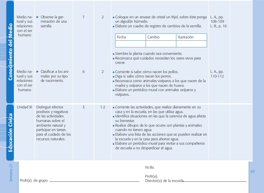 Avance programatico semanal por competencias e indicadores 1 primer 