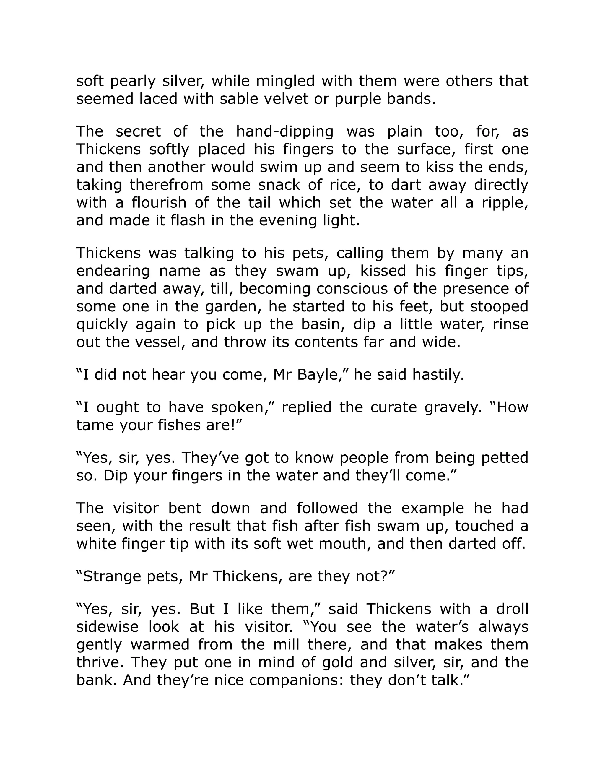 soft pearly silver, while mingled with them were others that
seemed laced with sable velvet or purple bands.
The secret of the hand-dipping was plain too, for, as
Thickens softly placed his fingers to the surface, first one
and then another would swim up and seem to kiss the ends,
taking therefrom some snack of rice, to dart away directly
with a flourish of the tail which set the water all a ripple,
and made it flash in the evening light.
Thickens was talking to his pets, calling them by many an
endearing name as they swam up, kissed his finger tips,
and darted away, till, becoming conscious of the presence of
some one in the garden, he started to his feet, but stooped
quickly again to pick up the basin, dip a little water, rinse
out the vessel, and throw its contents far and wide.
“I did not hear you come, Mr Bayle,” he said hastily.
“I ought to have spoken,” replied the curate gravely. “How
tame your fishes are!”
“Yes, sir, yes. They’ve got to know people from being petted
so. Dip your fingers in the water and they’ll come.”
The visitor bent down and followed the example he had
seen, with the result that fish after fish swam up, touched a
white finger tip with its soft wet mouth, and then darted off.
“Strange pets, Mr Thickens, are they not?”
“Yes, sir, yes. But I like them,” said Thickens with a droll
sidewise look at his visitor. “You see the water’s always
gently warmed from the mill there, and that makes them
thrive. They put one in mind of gold and silver, sir, and the
bank. And they’re nice companions: they don’t talk.”
 