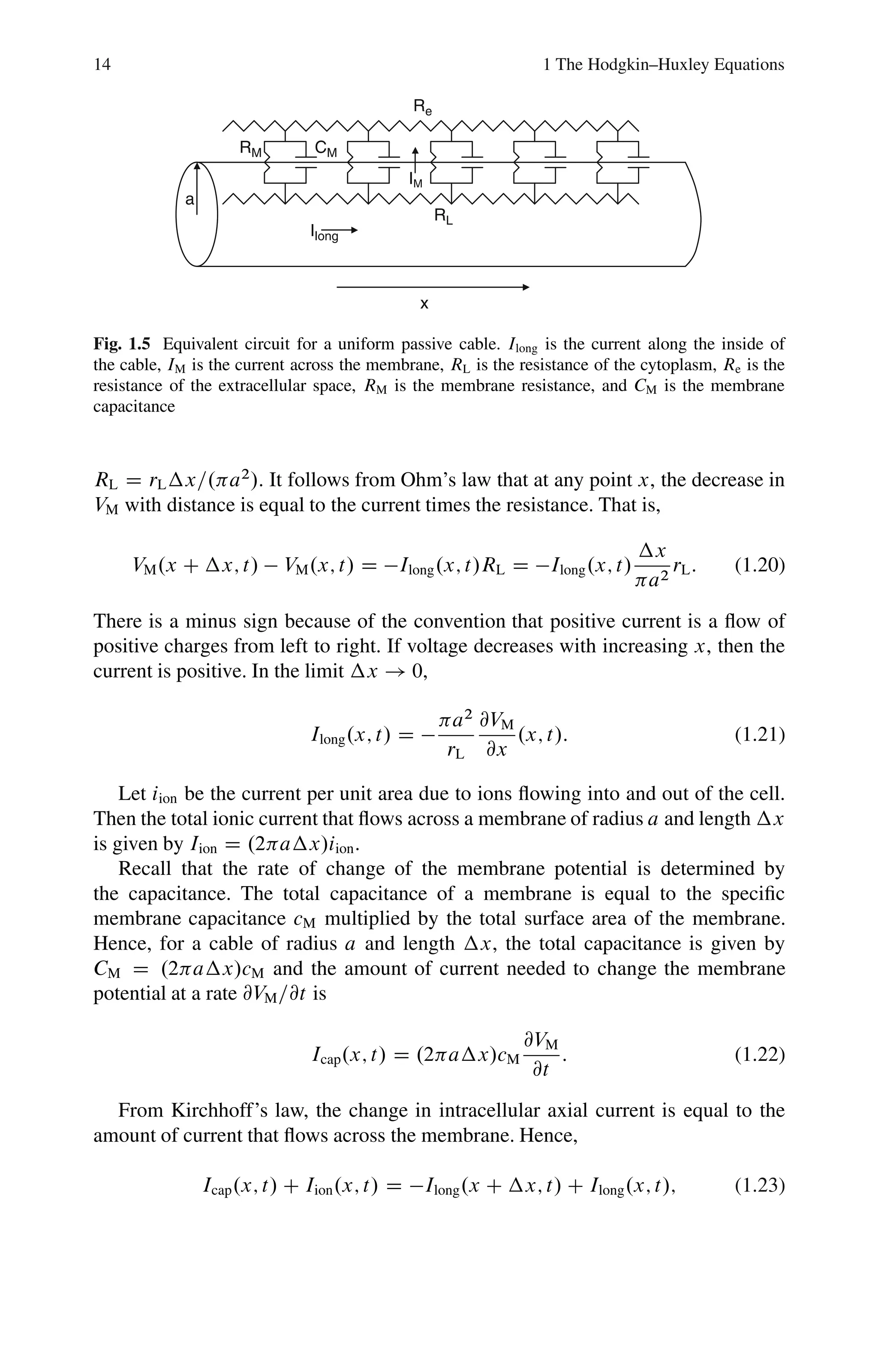 14 1 The Hodgkin–Huxley Equations
x
RL
Re
CM
RM
Ilong
a
IM
Fig. 1.5 Equivalent circuit for a uniform passive cable. Ilong is the current along the inside of
the cable, IM is the current across the membrane, RL is the resistance of the cytoplasm, Re is the
resistance of the extracellular space, RM is the membrane resistance, and CM is the membrane
capacitance
RL D rL x=. a2
/. It follows from Ohm’s law that at any point x, the decrease in
VM with distance is equal to the current times the resistance. That is,
VM.x C x; t/  VM.x; t/ D Ilong.x; t/RL D Ilong.x; t/
x
a2
rL: (1.20)
There is a minus sign because of the convention that positive current is a flow of
positive charges from left to right. If voltage decreases with increasing x, then the
current is positive. In the limit x ! 0,
Ilong.x; t/ D 
a2
rL
@VM
@x
.x; t/: (1.21)
Let iion be the current per unit area due to ions flowing into and out of the cell.
Then the total ionic current that flows across a membrane of radius a and length x
is given by Iion D .2 a x/iion.
Recall that the rate of change of the membrane potential is determined by
the capacitance. The total capacitance of a membrane is equal to the specific
membrane capacitance cM multiplied by the total surface area of the membrane.
Hence, for a cable of radius a and length x, the total capacitance is given by
CM D .2 a x/cM and the amount of current needed to change the membrane
potential at a rate @VM=@t is
Icap.x; t/ D .2 a x/cM
@VM
@t
: (1.22)
From Kirchhoff’s law, the change in intracellular axial current is equal to the
amount of current that flows across the membrane. Hence,
Icap.x; t/ C Iion.x; t/ D Ilong.x C x; t/ C Ilong.x; t/; (1.23)
 
