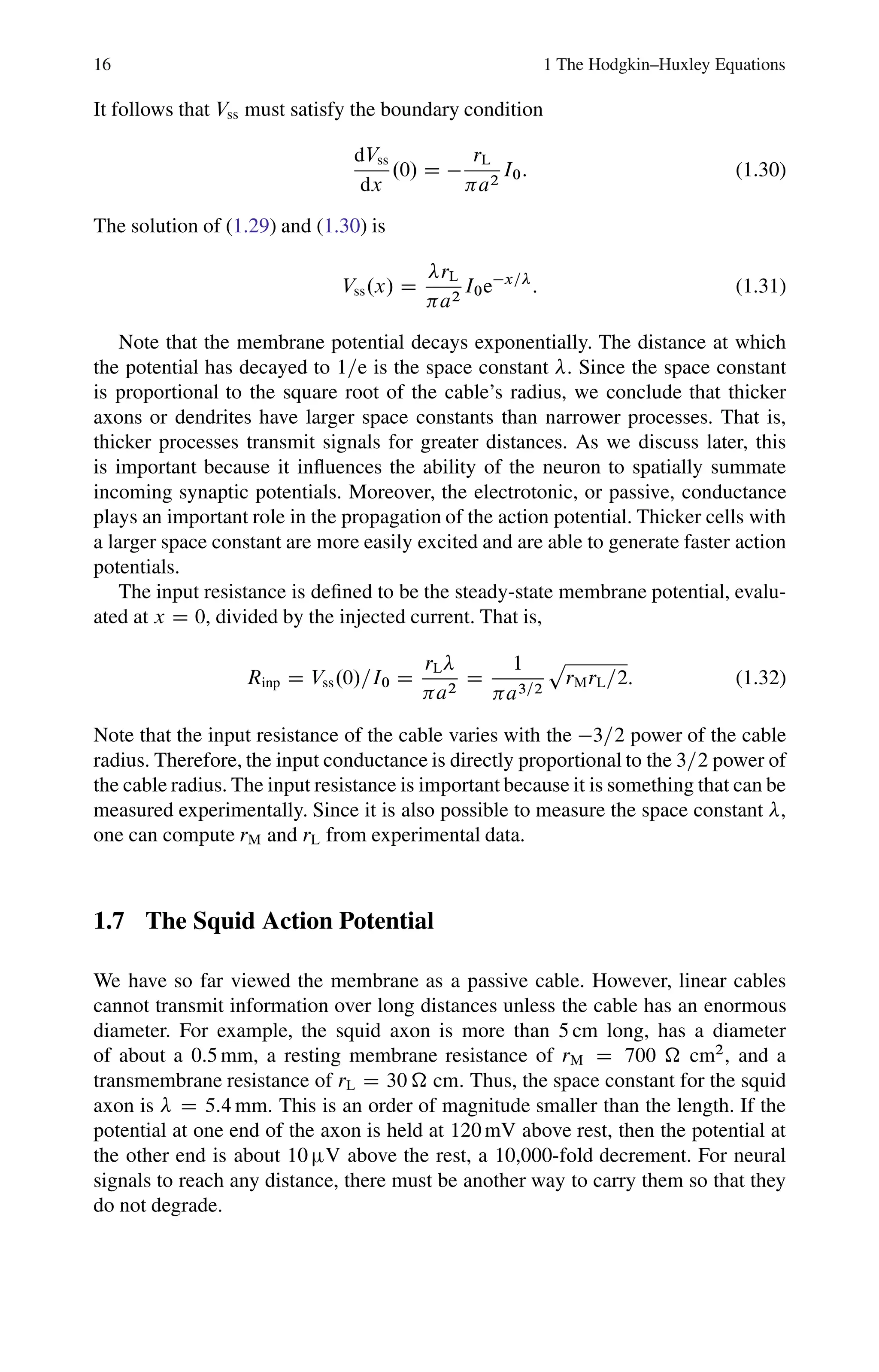 16 1 The Hodgkin–Huxley Equations
It follows that Vss must satisfy the boundary condition
dVss
dx
.0/ D 
rL
a2
I0: (1.30)
The solution of (1.29) and (1.30) is
Vss.x/ D
rL
a2
I0ex=
: (1.31)
Note that the membrane potential decays exponentially. The distance at which
the potential has decayed to 1=e is the space constant . Since the space constant
is proportional to the square root of the cable’s radius, we conclude that thicker
axons or dendrites have larger space constants than narrower processes. That is,
thicker processes transmit signals for greater distances. As we discuss later, this
is important because it influences the ability of the neuron to spatially summate
incoming synaptic potentials. Moreover, the electrotonic, or passive, conductance
plays an important role in the propagation of the action potential. Thicker cells with
a larger space constant are more easily excited and are able to generate faster action
potentials.
The input resistance is defined to be the steady-state membrane potential, evalu-
ated at x D 0, divided by the injected current. That is,
Rinp D Vss.0/=I0 D
rL
a2
D
1
a3=2
p
rMrL=2: (1.32)
Note that the input resistance of the cable varies with the 3=2 power of the cable
radius. Therefore, the input conductance is directly proportional to the 3=2 power of
the cable radius. The input resistance is important because it is something that can be
measured experimentally. Since it is also possible to measure the space constant ,
one can compute rM and rL from experimental data.
1.7 The Squid Action Potential
We have so far viewed the membrane as a passive cable. However, linear cables
cannot transmit information over long distances unless the cable has an enormous
diameter. For example, the squid axon is more than 5 cm long, has a diameter
of about a 0.5 mm, a resting membrane resistance of rM D 700  cm2
, and a
transmembrane resistance of rL D 30  cm: Thus, the space constant for the squid
axon is D 5:4 mm: This is an order of magnitude smaller than the length. If the
potential at one end of the axon is held at 120 mV above rest, then the potential at
the other end is about 10 V above the rest, a 10,000-fold decrement. For neural
signals to reach any distance, there must be another way to carry them so that they
do not degrade.
 