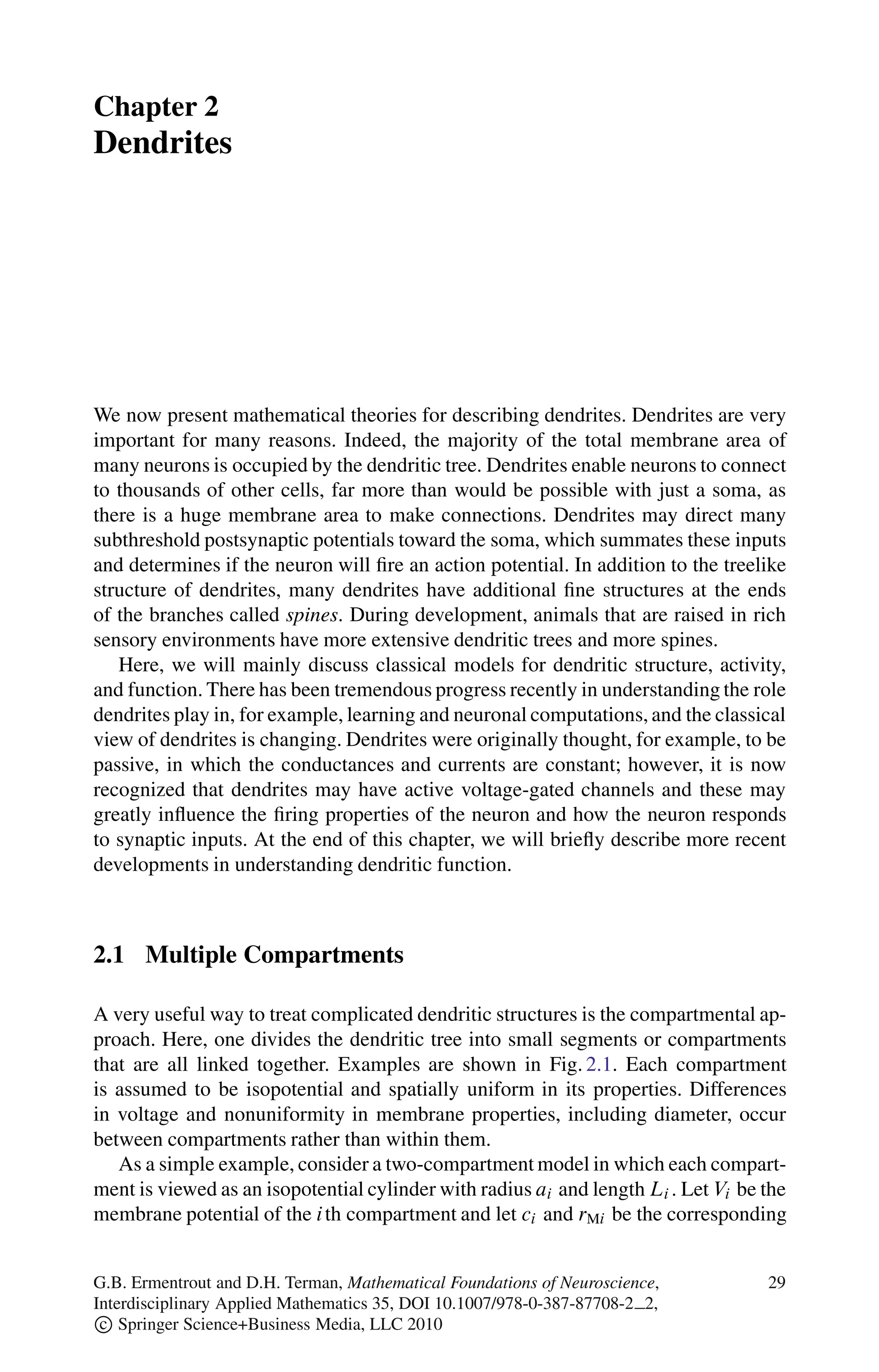 Chapter 2
Dendrites
We now present mathematical theories for describing dendrites. Dendrites are very
important for many reasons. Indeed, the majority of the total membrane area of
many neurons is occupied by the dendritic tree. Dendrites enable neurons to connect
to thousands of other cells, far more than would be possible with just a soma, as
there is a huge membrane area to make connections. Dendrites may direct many
subthreshold postsynaptic potentials toward the soma, which summates these inputs
and determines if the neuron will fire an action potential. In addition to the treelike
structure of dendrites, many dendrites have additional fine structures at the ends
of the branches called spines. During development, animals that are raised in rich
sensory environments have more extensive dendritic trees and more spines.
Here, we will mainly discuss classical models for dendritic structure, activity,
and function. There has been tremendous progress recently in understanding the role
dendrites play in, for example, learning and neuronal computations, and the classical
view of dendrites is changing. Dendrites were originally thought, for example, to be
passive, in which the conductances and currents are constant; however, it is now
recognized that dendrites may have active voltage-gated channels and these may
greatly influence the firing properties of the neuron and how the neuron responds
to synaptic inputs. At the end of this chapter, we will briefly describe more recent
developments in understanding dendritic function.
2.1 Multiple Compartments
A very useful way to treat complicated dendritic structures is the compartmental ap-
proach. Here, one divides the dendritic tree into small segments or compartments
that are all linked together. Examples are shown in Fig. 2.1. Each compartment
is assumed to be isopotential and spatially uniform in its properties. Differences
in voltage and nonuniformity in membrane properties, including diameter, occur
between compartments rather than within them.
As a simple example, consider a two-compartment model in which each compart-
ment is viewed as an isopotential cylinder with radius ai and length Li . Let Vi be the
membrane potential of the ith compartment and let ci and rMi be the corresponding
G.B. Ermentrout and D.H. Terman, Mathematical Foundations of Neuroscience,
Interdisciplinary Applied Mathematics 35, DOI 10.1007/978-0-387-87708-2 2,
c
 Springer Science+Business Media, LLC 2010
29
 