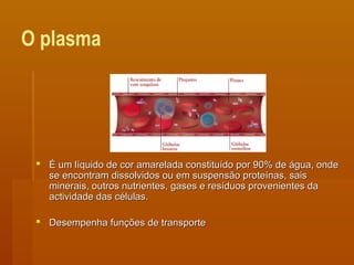 O plasma
 É um líquido de cor amarelada constituído por 90% de água, ondeÉ um líquido de cor amarelada constituído por 90% de água, onde
se encontram dissolvidos ou em suspensão proteínas, saisse encontram dissolvidos ou em suspensão proteínas, sais
minerais, outros nutrientes, gases e resíduos provenientes daminerais, outros nutrientes, gases e resíduos provenientes da
actividade das células.actividade das células.
 Desempenha funções de transporteDesempenha funções de transporte
 