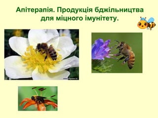 Апітерапія. Продукція бджільництва
для міцного імунітету.
 