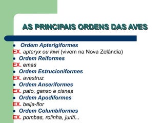 AS PRINCIPAIS ORDENS DAS AVES
 Ordem Apterigiformes
EX. apteryx ou kiwi (vivem na Nova Zelândia)
 Ordem Reiformes
EX. emas
 Ordem Estrucioniformes
EX. avestruz
 Ordem Anseriformes
EX. pato, ganso e cisnes
 Ordem Apodiformes
EX. beija-flor
 Ordem Columbiformes
EX. pombas, rolinha, juriti...
 