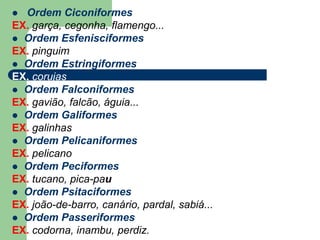  Ordem Ciconiformes
EX. garça, cegonha, flamengo...
 Ordem Esfenisciformes
EX. pinguim
 Ordem Estringiformes
EX. corujas
 Ordem Falconiformes
EX. gavião, falcão, águia...
 Ordem Galiformes
EX. galinhas
 Ordem Pelicaniformes
EX. pelicano
 Ordem Peciformes
EX. tucano, pica-pau
 Ordem Psitaciformes
EX. joão-de-barro, canário, pardal, sabiá...
 Ordem Passeriformes
EX. codorna, inambu, perdiz.
 