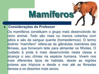 Mamíferos
 Considerações do Professor
Os mamíferos constituem o grupo mais desenvolvido do
reino animal. Todo são mais ou menos cobertos com
pêlos e são de sangue quente (homeotérmos). O termo
distinto “mamífero” refere-se ás glândulas mamárias das
fêmeas, que fornecem leite para alimentar os filhotes. O
cuidado à prole é mais desenvolvido nesta classe e
alcança o seu clímax na espécie humana. Vivem nos
mais diferentes tipos de habitats, desde as regiões
polares aos trópicos e desde o mar até as florestas
densas e os desertos mais secos.
 