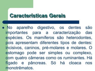 Características Gerais
 No aparelho digestivo, os dentes são
importantes para a caracterização das
espécies. Os mamíferos são heterodontes,
pois apresentam diferentes tipos de dentes:
incisivos, caninos, pré-molares e molares. O
estomago pode ser simples ou complexo,
com quatro câmeras como os ruminantes. Há
fígado e pâncreas. Só há cloaca nos
monotrêmatos.
 