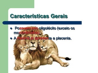 Características Gerais
 Possuem ovo oligolécito (exceto os
monotrêmatos).
 A maioria já apresenta a placenta.
 