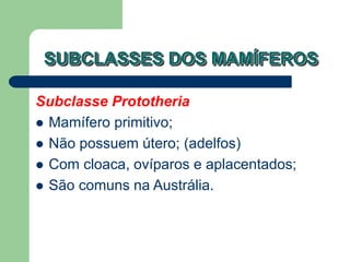 SUBCLASSES DOS MAMÍFEROS
Subclasse Prototheria
 Mamífero primitivo;
 Não possuem útero; (adelfos)
 Com cloaca, ovíparos e aplacentados;
 São comuns na Austrália.
 