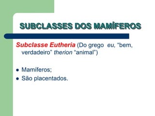 SUBCLASSES DOS MAMÍFEROS
Subclasse Eutheria (Do grego eu, “bem,
verdadeiro” therion “animal”)
 Mamíferos;
 São placentados.
 