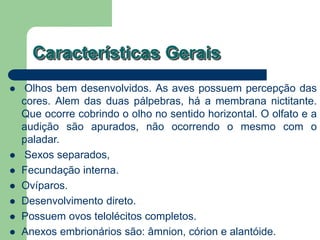 Características Gerais
 Olhos bem desenvolvidos. As aves possuem percepção das
cores. Alem das duas pálpebras, há a membrana nictitante.
Que ocorre cobrindo o olho no sentido horizontal. O olfato e a
audição são apurados, não ocorrendo o mesmo com o
paladar.
 Sexos separados,
 Fecundação interna.
 Ovíparos.
 Desenvolvimento direto.
 Possuem ovos telolécitos completos.
 Anexos embrionários são: âmnion, córion e alantóide.
 
