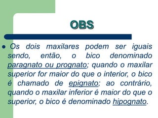 OBS
 Os dois maxilares podem ser iguais
sendo, então, o bico denominado
paragnato ou prognato; quando o maxilar
superior for maior do que o interior, o bico
é chamado de epignato; ao contrário,
quando o maxilar inferior é maior do que o
superior, o bico é denominado hipognato.
 