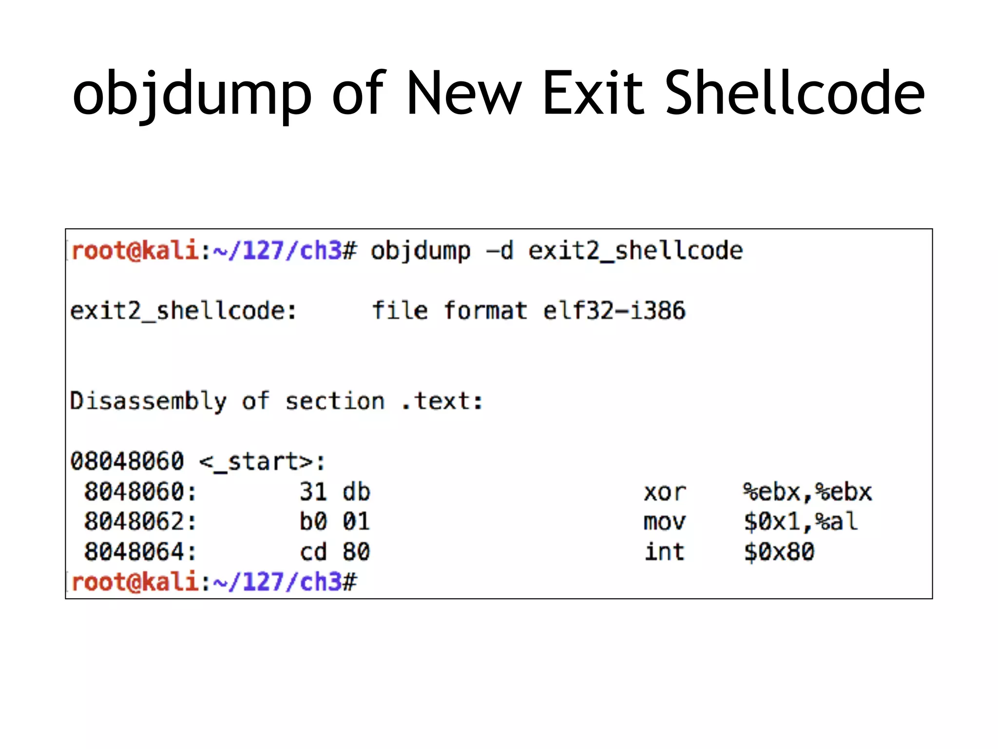 objdump of New Exit Shellcode
 