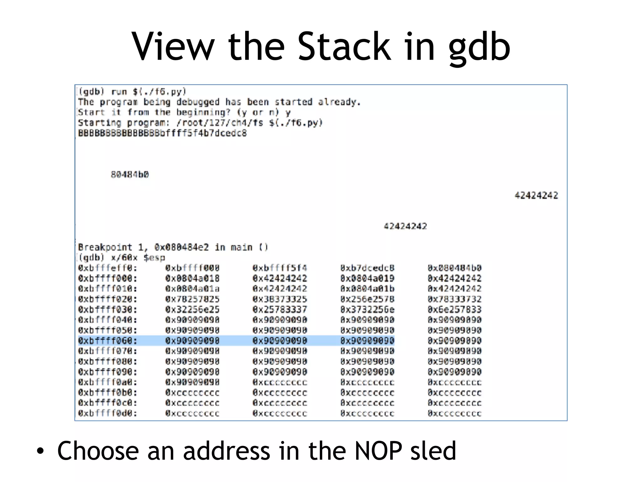 View the Stack in gdb
• Choose an address in the NOP sled
 