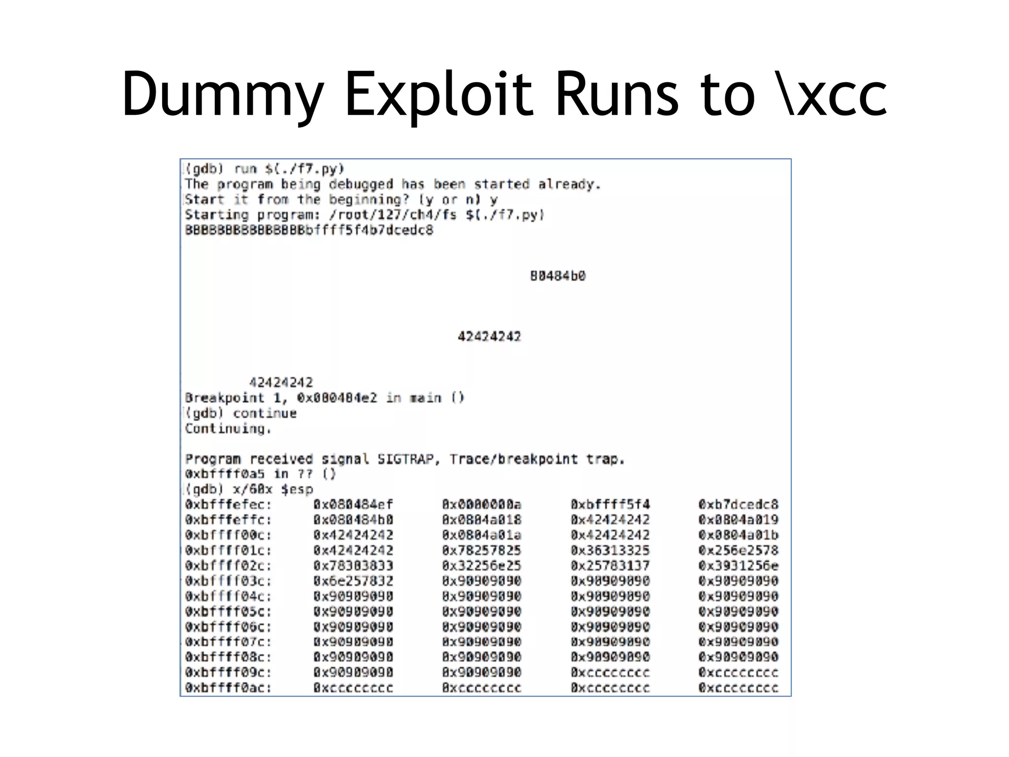 Dummy Exploit Runs to xcc
 