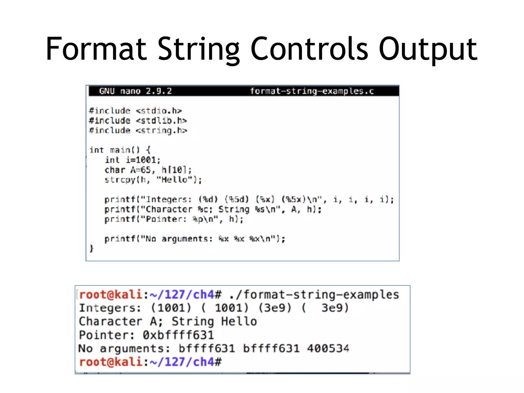 Format String Controls Output
 