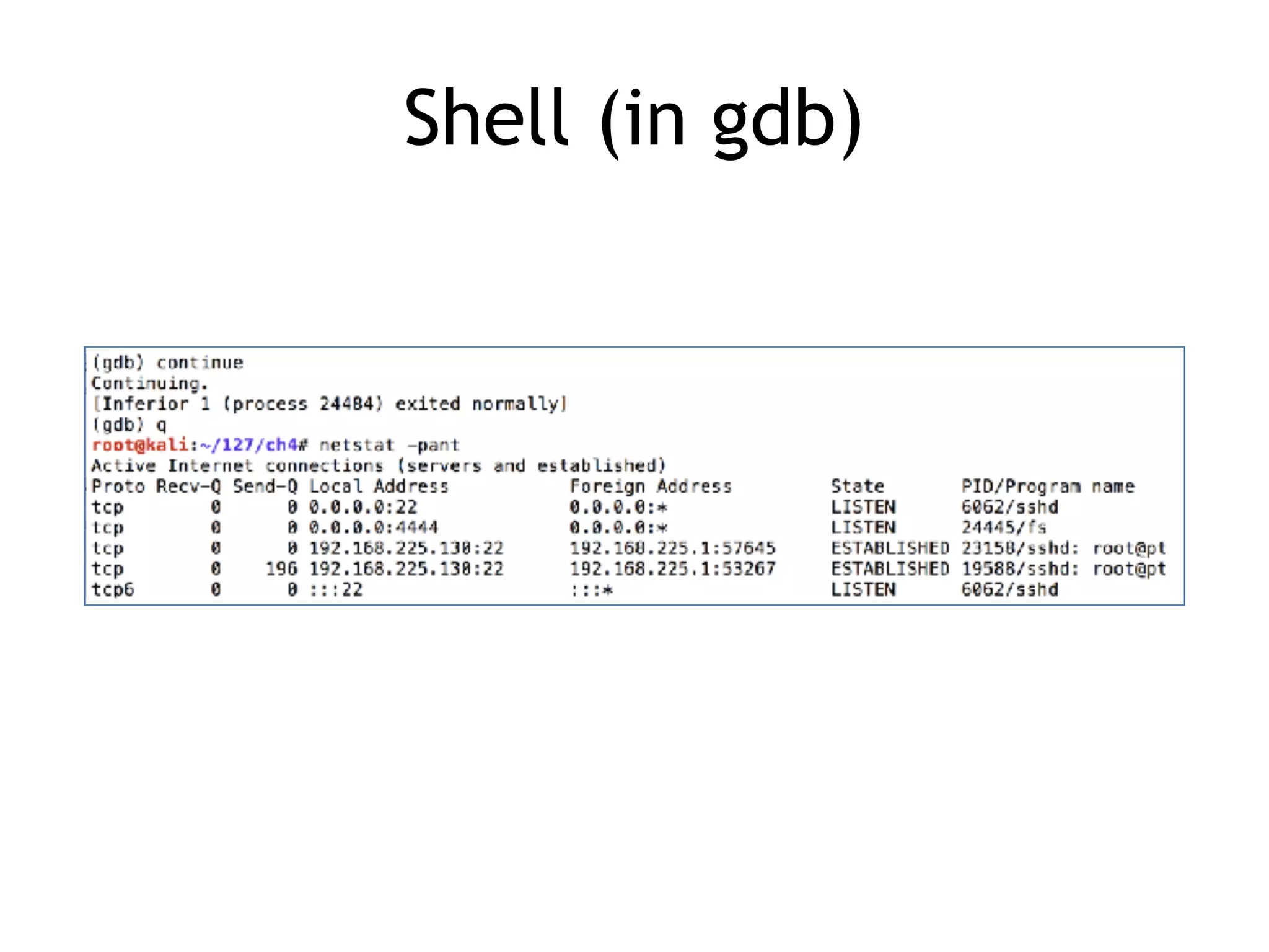 Shell (in gdb)
 