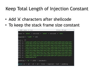 CNIT 127 Ch 4: Introduction to format string bugs | PDF | Programming ...