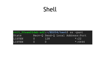 CNIT 127 Ch 4: Introduction to format string bugs | PDF