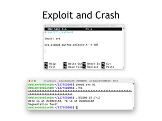 Exploit and Crash
 