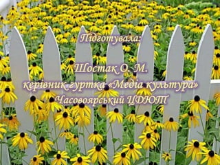 Державні символи