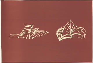 Sydney Opera House, drawings