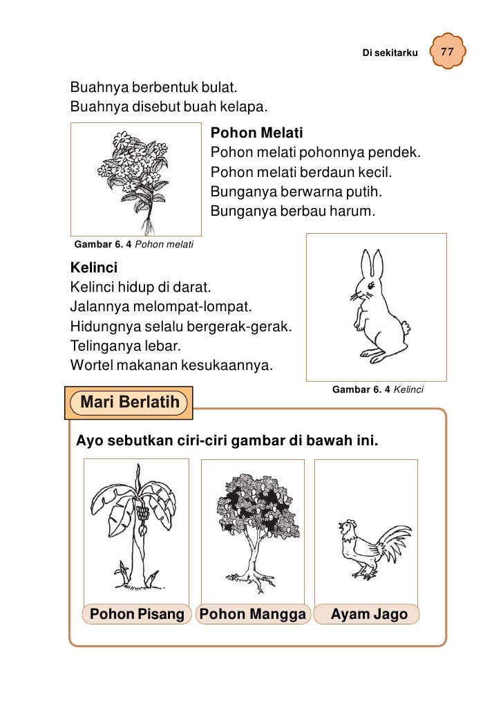 Sdmi Kelas02 Bahasa Indonesia Umri Indriyani