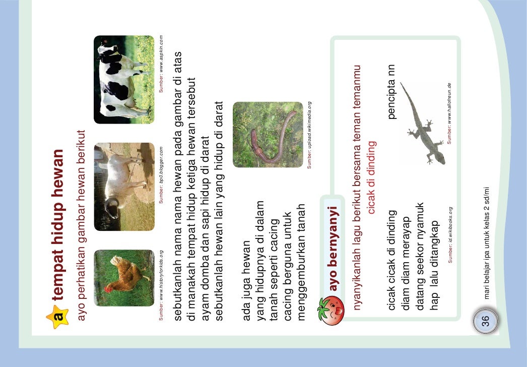 gratis download animasi gambar animasi Ipa Mari Belajar Ipa Sd Mi Kelas 02 Sjaeful Cucu Terupdate