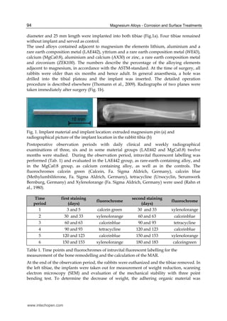 Magnesium Alloys - Corrosion and Surface Treatments94
diameter and 25 mm length were implanted into both tibiae (Fig.1a). Four tibiae remained
without implant and served as control.
The used alloys contained adjacent to magnesium the elements lithium, aluminium and a
rare earth composition metal (LAE442), yttrium and a rare earth composition metal (WE43),
calcium (MgCa0.8), aluminium and calcium (AX30) or zinc, a rare earth composition metal
and zirconium (ZEK100). The numbers describe the percentage of the alloying elements
adjacent to magnesium, in accordance with the ASTM-standard. At the time of surgery, all
rabbits were older than six months and hence adult. In general anaesthesia, a hole was
drilled into the tibial plateau and the implant was inserted. The detailed operation
procedure is described elsewhere (Thomann et al., 2009). Radiographs of two planes were
taken immediately after surgery (Fig. 1b).
Fig. 1. Implant material and implant location: extruded magnesium pin (a) and
radiographical picture of the implant location in the rabbit tibia (b)
Postoperative observation periods with daily clinical and weekly radiographical
examinations of three, six and in some material groups (LAE442 and MgCa0.8) twelve
months were studied. During the observation period, intravital fluorescent labelling was
performed (Tab. 1) and evaluated in the LAE442 group, as rare-earth containing alloy, and
in the MgCa0.8 group, as calcium containing alloy, as well as in the controls. The
fluorochromes calcein green (Calcein, Fa. Sigma Aldrich, Germany), calcein blue
(Methylumbiliferone, Fa. Sigma Aldrich, Germany), tetracycline (Ursocyclin, Serumwerk
Bernburg, Germany) and Xylenolorange (Fa. Sigma Aldrich, Germany) were used (Rahn et
al., 1980).
Time
period
first staining
(days)
fluorochrome
second staining
(days)
fluorochrome
1 3 and 5 calcein green 30 and 33 xylenolorange
2 30 and 33 xylenolorange 60 and 63 calceinblue
3 60 and 63 calceinblue 90 and 93 tetracycline
4 90 and 93 tetracycline 120 and 123 calceinblue
5 120 and 123 calceinblue 150 and 153 xylenolorange
6 150 and 153 xylenolorange 180 and 183 calceingreen
Table 1. Time points and fluorochromes of intravital fluorescent labelling for the
measurement of the bone remodelling and the calculation of the MAR.
At the end of the observation period, the rabbits were euthanized and the tibiae removed. In
the left tibiae, the implants were taken out for measurement of weight reduction, scanning
electron microscopy (SEM) and evaluation of the mechanical stability with three point
bending test. To determine the decrease of weight, the adhering organic material was
www.intechopen.com
 