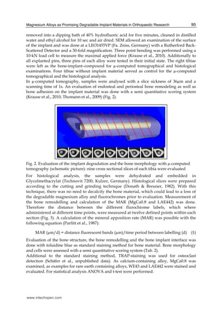 Magnesium Alloys as Promising Degradable Implant Materials in Orthopaedic Research 95
removed into a dipping bath of 40% hydrofluoric acid for five minutes, cleaned in distilled
water and ethyl alcohol for 10 sec and air dried. SEM allowed an examination of the surface
of the implant and was done at a LEO1455VP (Fa. Zeiss, Germany) with a Rutherford Back-
Scattered Detector and a 30-fold magnification. Three point bending was performed using a
10-kN load cell to measure the maximal applied force (Krause et al., 2010). Additionally to
all explanted pins, three pins of each alloy were tested in their initial state. The right tibiae
were left as the bone-implant–compound for µ-computed tomographical and histological
examinations. Four tibiae without implant material served as control for the µ-computed
tomographical and the histological analysis.
In µ-computed tomography, samples were analysed with a slice sickness of 36µm and a
scanning time of 1s. An evaluation of endosteal and periosteal bone remodeling as well as
bone adhesion on the implant material was done with a semi quantitative scoring system
(Krause et al., 2010; Thomann et al., 2009) (Fig. 2).
Fig. 2. Evaluation of the implant degradation and the bone morphology with µ-computed
tomography (schematic picture): nine cross sectional slices of each tibia were evaluated
For histological analysis, the samples were dehydrated and embedded in
Glycolmethacrylat (Technovit 7200, Kulzer, Germany). Histological slices were prepared
according to the cutting and grinding technique (Donath & Breuner, 1982). With this
technique, there was no need to decalcify the bone material, which could lead to a loss of
the degradable magnesium alloy and fluorochromes prior to evaluation. Measurement of
the bone remodelling and calculation of the MAR (MgCa0.8 and LAE442) was done.
Therefore the distance between the different flurochrome labels, which where
administered at different time points, were measured at twelve defined points within each
section (Fig. 3). A calculation of the mineral apposition rate (MAR) was possible with the
following equation (Parfitt et al., 1987):
MAR (µm/d) = distance fluorescent bands (µm)/time period between labelling (d) (1)
Evaluation of the bone structure, the bone remodelling and the bone implant interface was
done with toluidine blue as standard staining method for bone material. Bone morphology
and cells were assessed with a semi quantitative scoring system (Tab. 2).
Additional to the standard staining method, TRAP-staining was used for osteoclast
detection (Schäfer et al., unpublished data). As calcium-containing alloy, MgCa0.8 was
examined, as examples for rare earth containing alloys, WE43 and LAE442 were stained and
evaluated. For statistical analysis ANOVA and t-test were performed.
www.intechopen.com
 