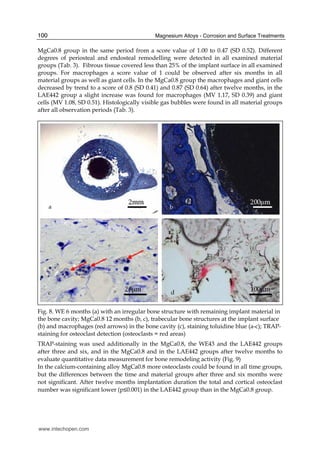 Magnesium Alloys - Corrosion and Surface Treatments100
MgCa0.8 group in the same period from a score value of 1.00 to 0.47 (SD 0.52). Different
degrees of periosteal and endosteal remodelling were detected in all examined material
groups (Tab. 3). Fibrous tissue covered less than 25% of the implant surface in all examined
groups. For macrophages a score value of 1 could be observed after six months in all
material groups as well as giant cells. In the MgCa0.8 group the macrophages and giant cells
decreased by trend to a score of 0.8 (SD 0.41) and 0.87 (SD 0.64) after twelve months, in the
LAE442 group a slight increase was found for macrophages (MV 1.17, SD 0.39) and giant
cells (MV 1.08, SD 0.51). Histologically visible gas bubbles were found in all material groups
after all observation periods (Tab. 3).
Fig. 8. WE 6 months (a) with an irregular bone structure with remaining implant material in
the bone cavity; MgCa0.8 12 months (b, c), trabecular bone structures at the implant surface
(b) and macrophages (red arrows) in the bone cavity (c), staining toluidine blue (a-c); TRAP-
staining for osteoclast detection (osteoclasts = red areas)
TRAP-staining was used additionally in the MgCa0.8, the WE43 and the LAE442 groups
after three and six, and in the MgCa0.8 and in the LAE442 groups after twelve months to
evaluate quantitative data measurement for bone remodeling activity (Fig. 9)
In the calcium-containing alloy MgCa0.8 more osteoclasts could be found in all time groups,
but the differences between the time and material groups after three and six months were
not significant. After twelve months implantation duration the total and cortical osteoclast
number was significant lower (p≤0.001) in the LAE442 group than in the MgCa0.8 group.
a b
dc
www.intechopen.com
 
