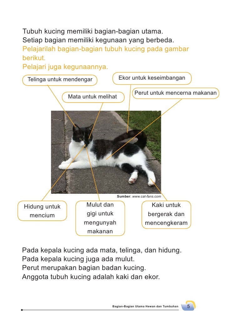 Sd Mi Kelas02 Senang Belajar Ipa Siti