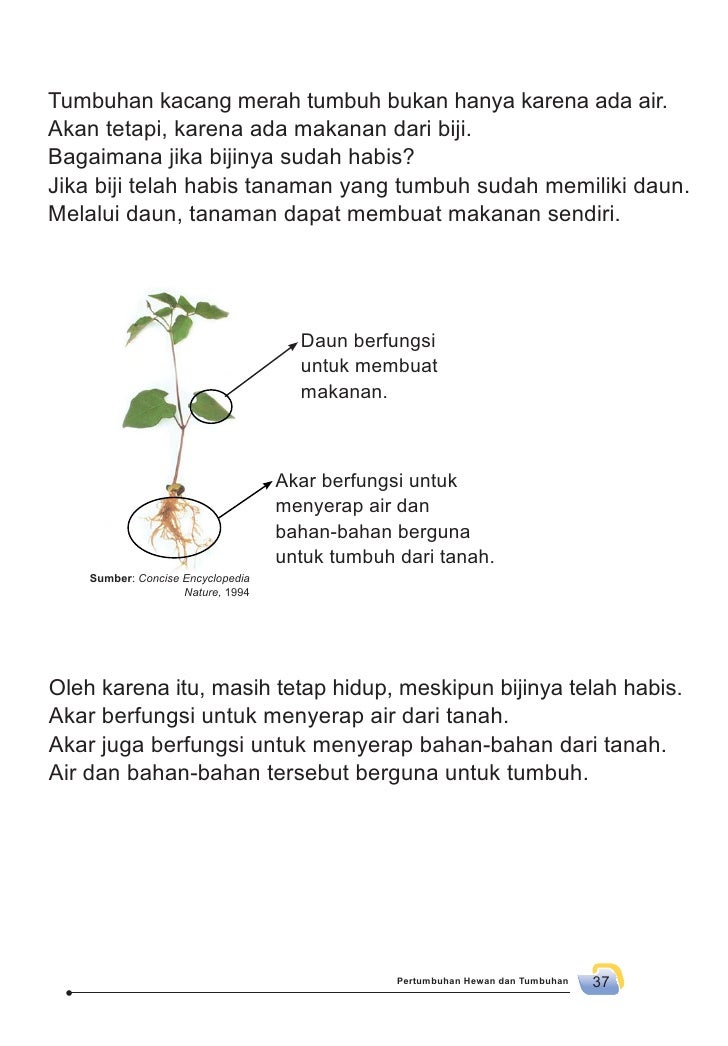 Sdmi Kelas02 Senang Belajar Ipa Siti