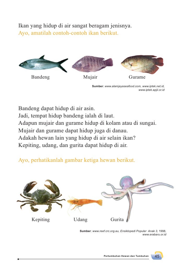 Sd Mi Kelas02 Senang Belajar Ipa Siti