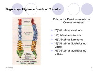 26/06/2023 6
Estrutura e Funcionamento da
Coluna Vertebral
 (7) Vértebras cervicais
 (12) Vértebras dorsais
 (6) Vértebras Lombares
 (5) Vértebras Soldados no
Sacro
 (4) Vértebras Soldadas no
Coccis
Segurança, Higiene e Saúde no Trabalho
 