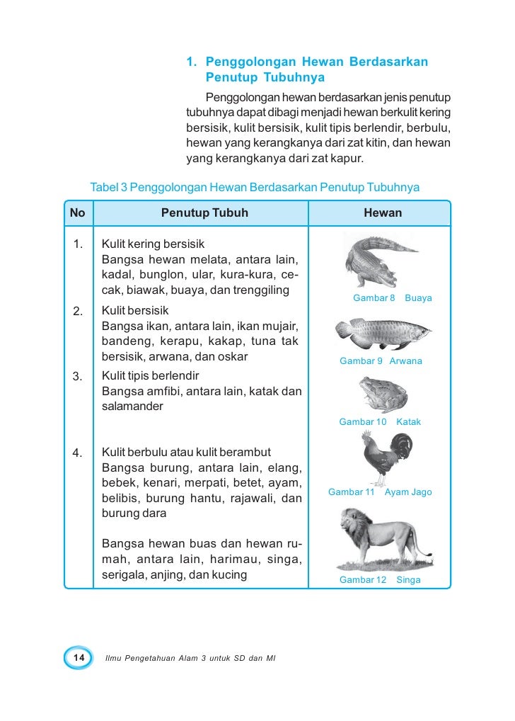 Sdmi Kelas03 Ipa Priyono Titik