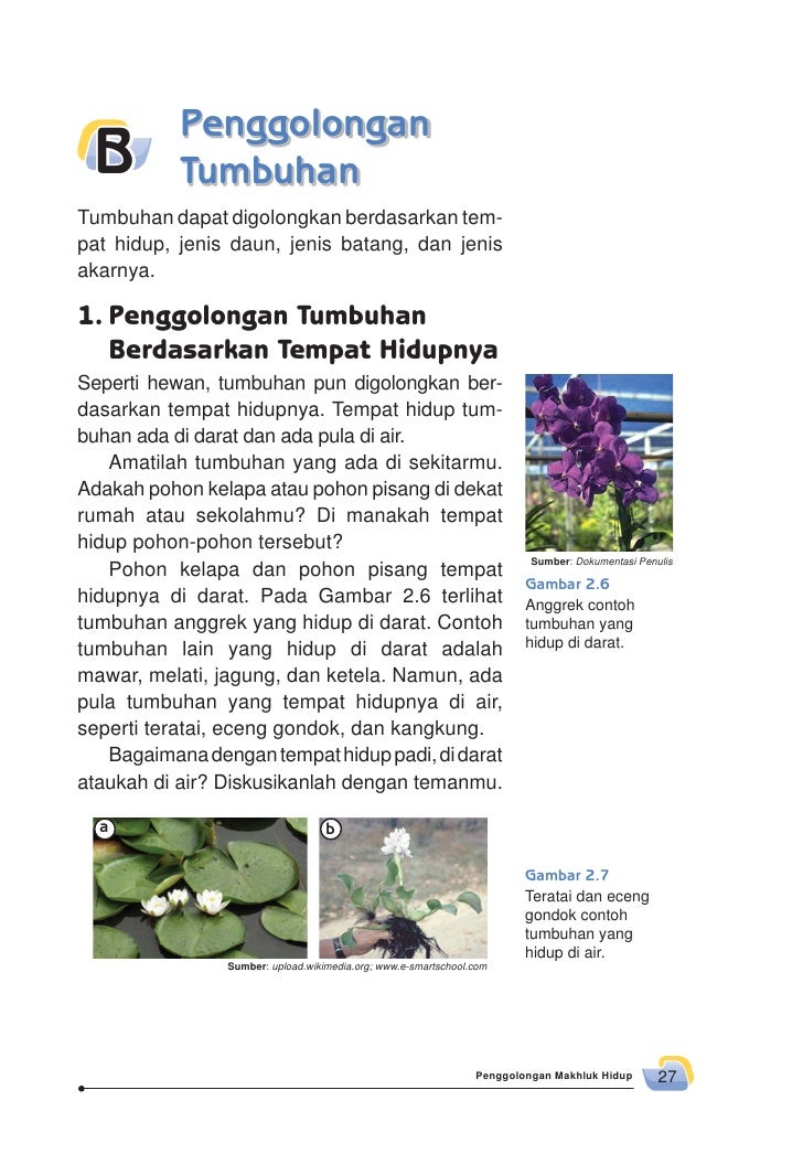 Sdmi Kelas03 Senang Belajar Ipa Siti