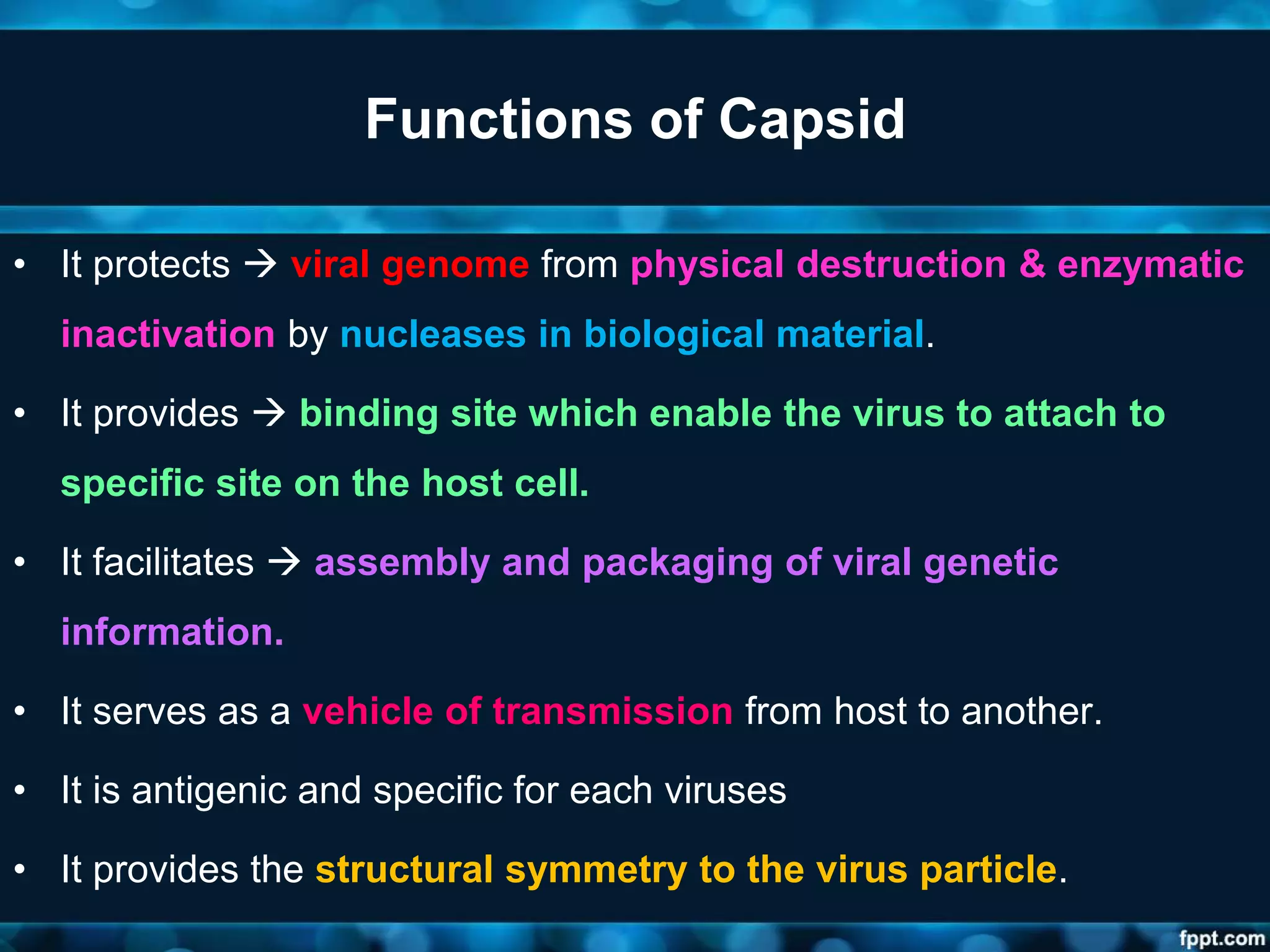 Functions of Capsid
• It protects  viral genome from physical destruction & enzymatic
inactivation by nucleases in biological material.
• It provides  binding site which enable the virus to attach to
specific site on the host cell.
• It facilitates  assembly and packaging of viral genetic
information.
• It serves as a vehicle of transmission from host to another.
• It is antigenic and specific for each viruses
• It provides the structural symmetry to the virus particle.
 