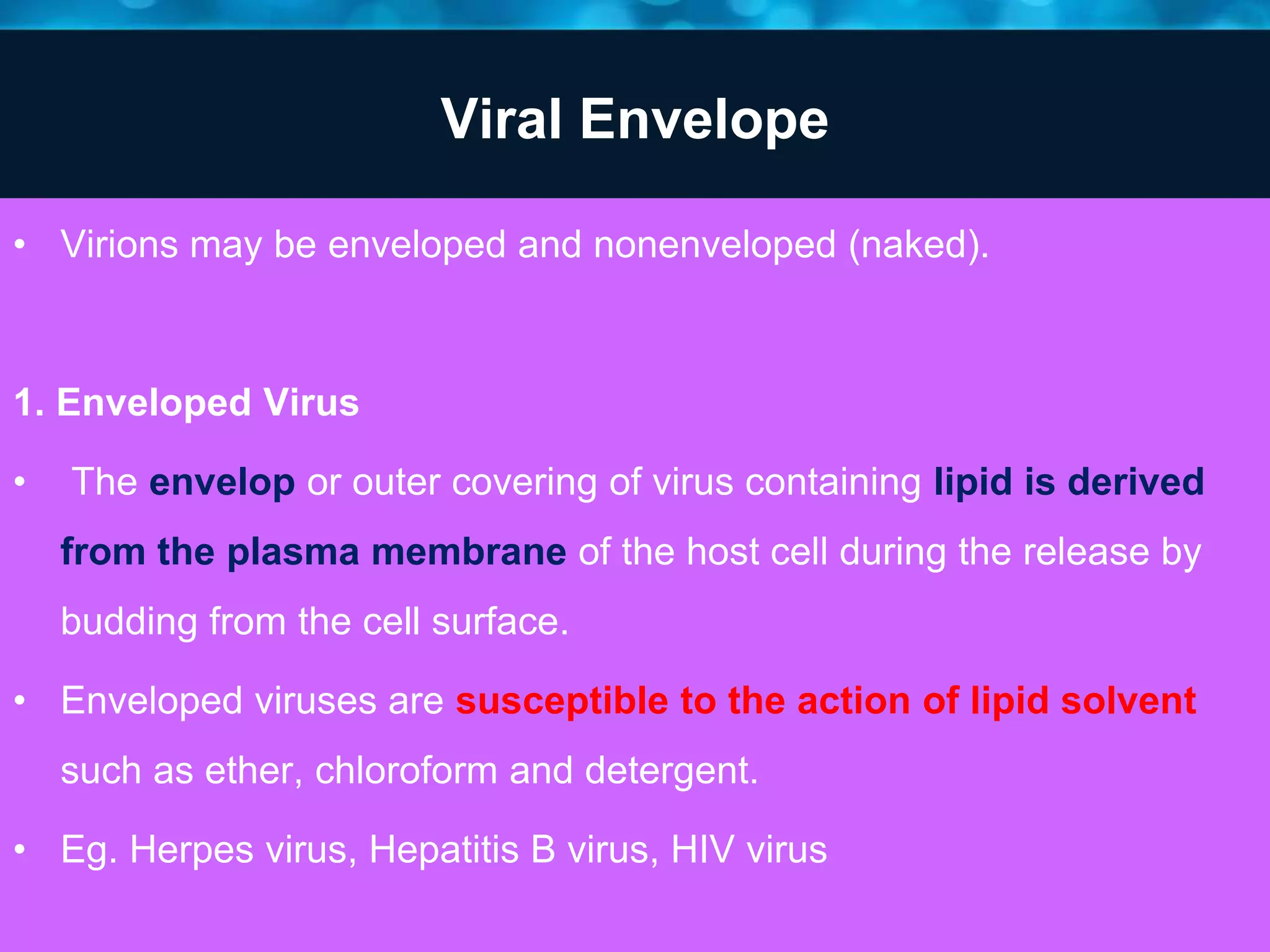 Viral Envelope
• Virions may be enveloped and nonenveloped (naked).
1. Enveloped Virus
• The envelop or outer covering of virus containing lipid is derived
from the plasma membrane of the host cell during the release by
budding from the cell surface.
• Enveloped viruses are susceptible to the action of lipid solvent
such as ether, chloroform and detergent.
• Eg. Herpes virus, Hepatitis B virus, HIV virus
 
