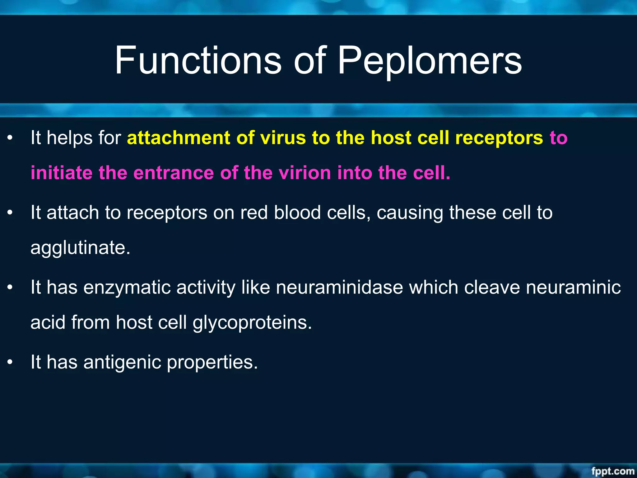 Functions of Peplomers
• It helps for attachment of virus to the host cell receptors to
initiate the entrance of the virion into the cell.
• It attach to receptors on red blood cells, causing these cell to
agglutinate.
• It has enzymatic activity like neuraminidase which cleave neuraminic
acid from host cell glycoproteins.
• It has antigenic properties.
 