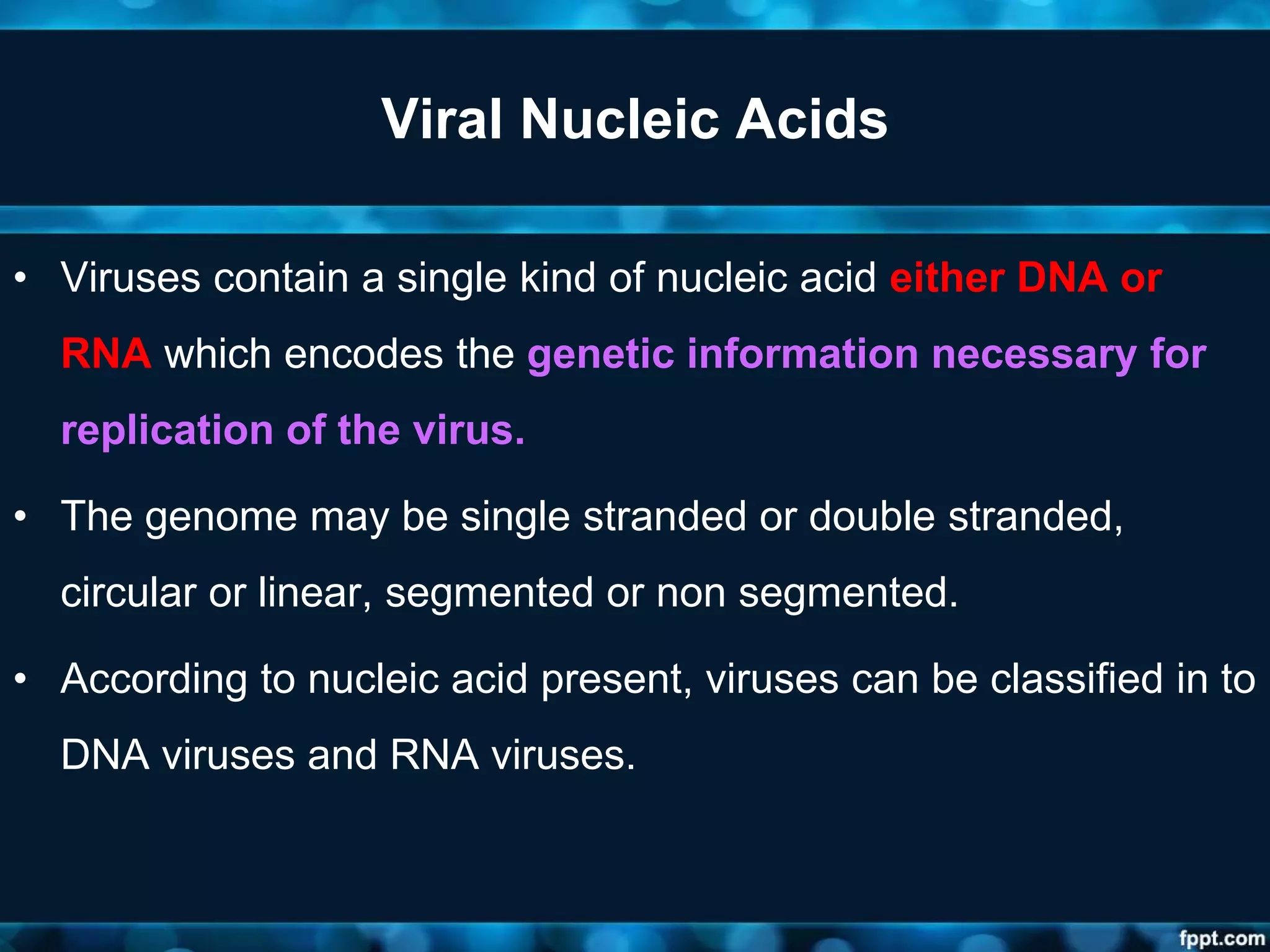 Viral Nucleic Acids
• Viruses contain a single kind of nucleic acid either DNA or
RNA which encodes the genetic information necessary for
replication of the virus.
• The genome may be single stranded or double stranded,
circular or linear, segmented or non segmented.
• According to nucleic acid present, viruses can be classified in to
DNA viruses and RNA viruses.
 